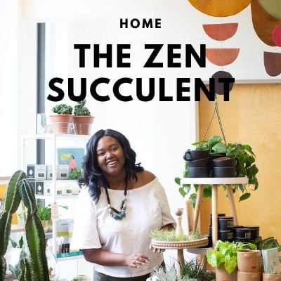 zen succulent plants black owned businesses guide