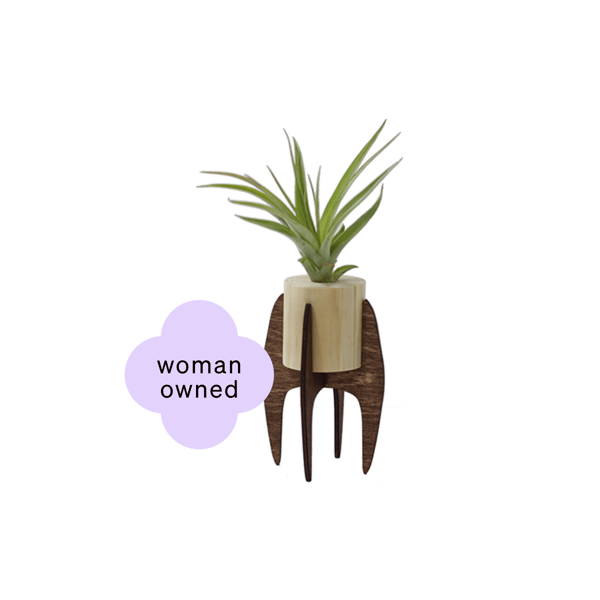 Mini-Desk-Air-Plant-Gift-1