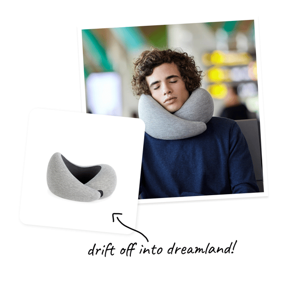 Ostrichpillow-Go-Gift